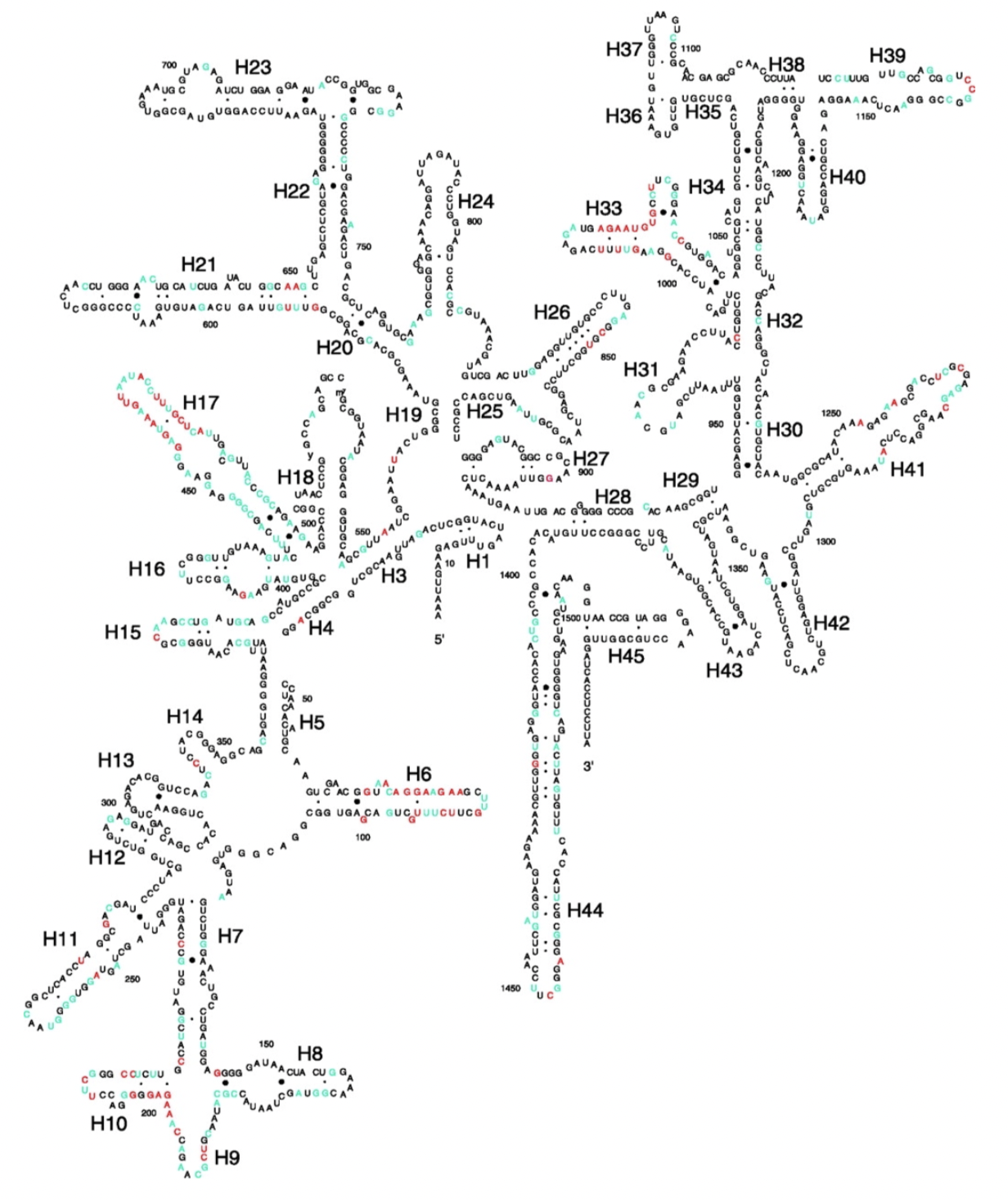 Case, R. J., Boucher, Y., Dahllöf, I., Holmström, C., Doolittle, W. F., & Kjelleberg, S. (2007). Use of 16S rRNA and rpoB genes as molecular markers for microbial ecology studies. Applied and environmental microbiology, 73(1), 278-288.