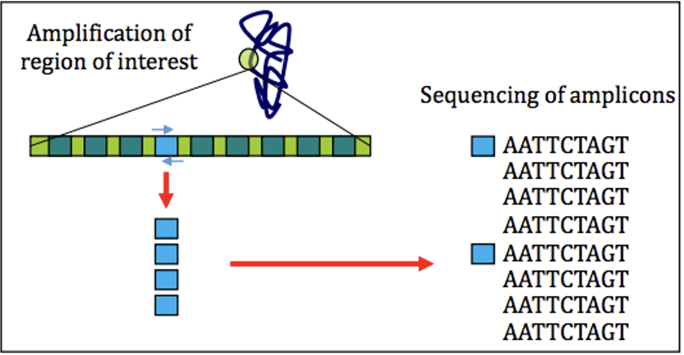 Expectation vs. Reality