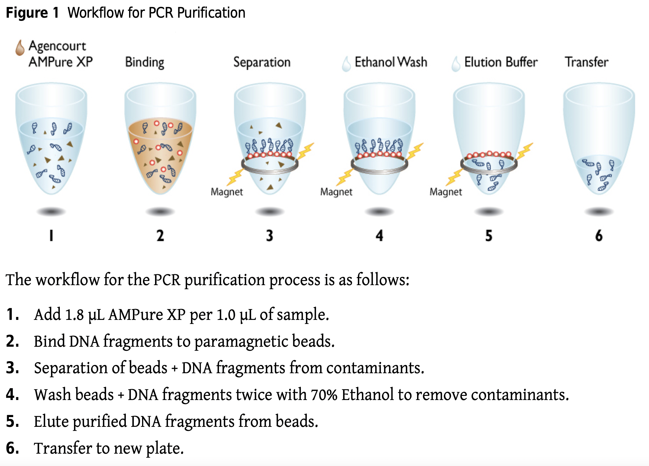 https://research.fredhutch.org/content/dam/stripe/hahn/methods/mol_biol/Agencourt%20AMPure%20XP.pdf