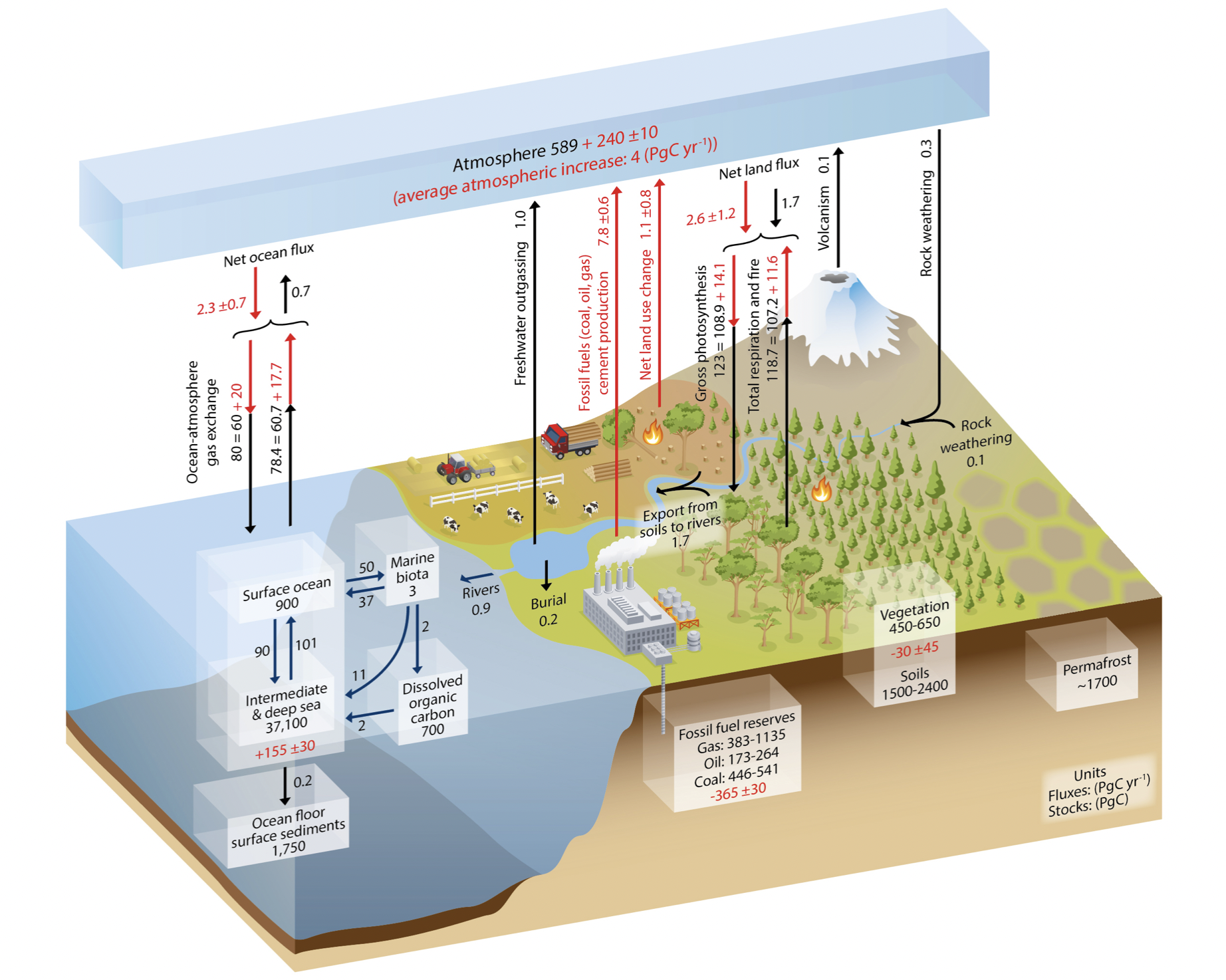 Carbon Cycle