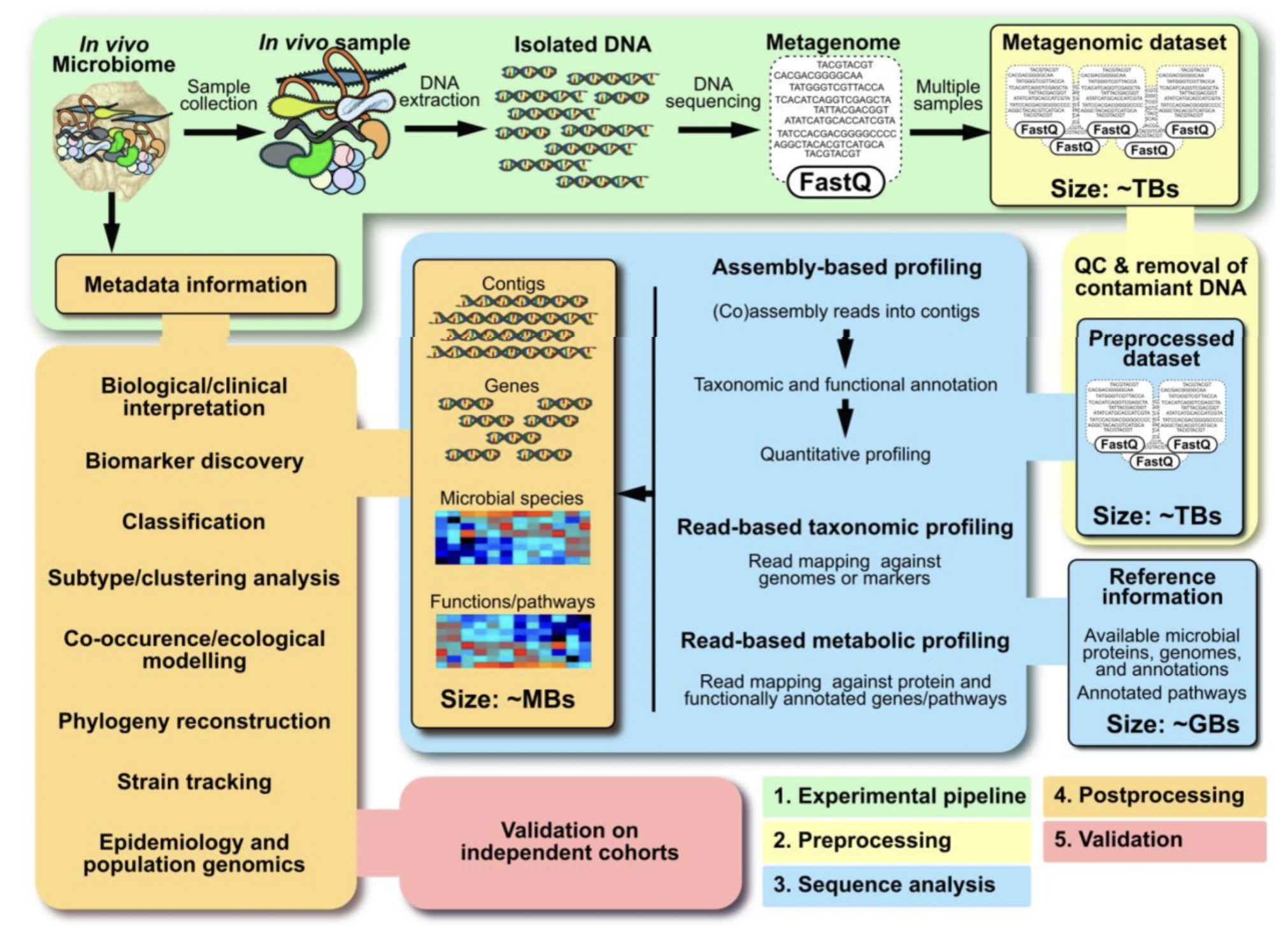 Quince, C., Walker, A. W., Simpson, J. T., Loman, N. J., & Segata, N. (2017). Shotgun metagenomics, from sampling to analysis. Nature biotechnology, 35(9), 833-844.