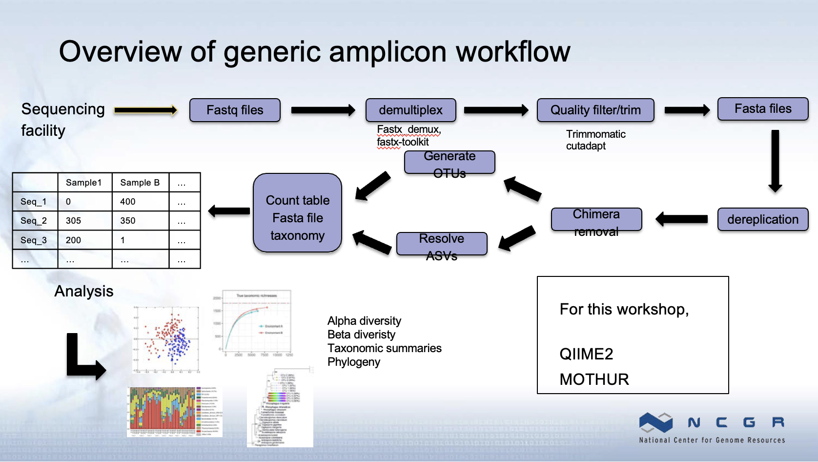 Amplicon Workflow