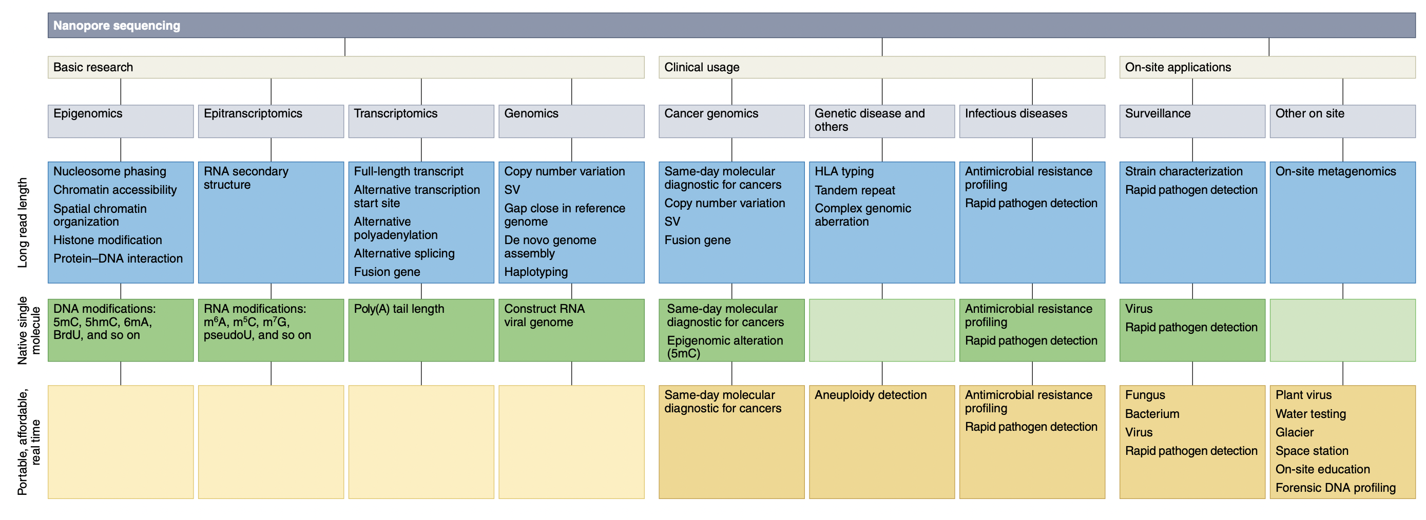 Wang, Y., Zhao, Y., Bollas, A., Wang, Y., & Au, K. F. (2021). Nanopore sequencing technology, bioinformatics and applications. Nature biotechnology, 39(11), 1348-1365.