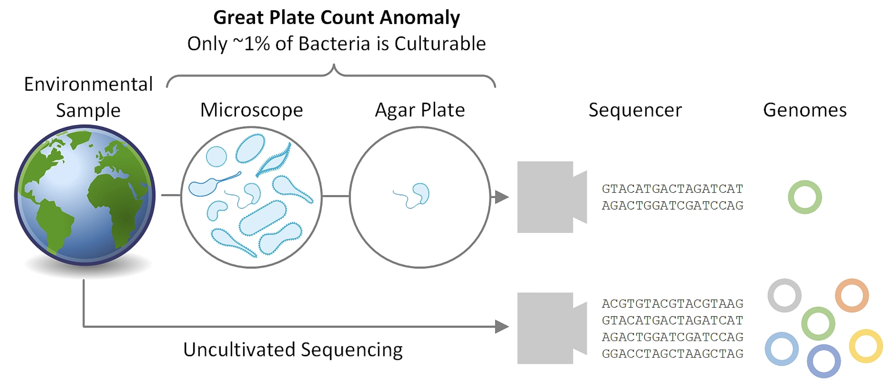 Parks, D. H., Rinke, C., Chuvochina, M., Chaumeil, P. A., Woodcroft, B. J., Evans, P. N., … & Tyson, G. W. (2017). Recovery of nearly 8,000 metagenome-assembled genomes substantially expands the tree of life. Nature microbiology, 2(11), 1533-1542.