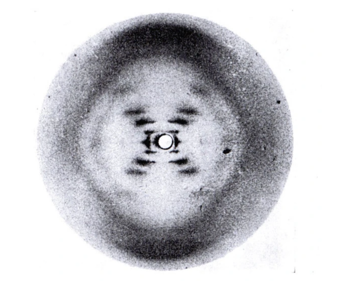 — J. D. Bernal, 1958. Franklin’s X-ray diagram of the B form of sodium thymonucleate (DNA) fibres, published in Nature on 25 April 1953, shows “in striking manner the features characteristic of helical structures”
