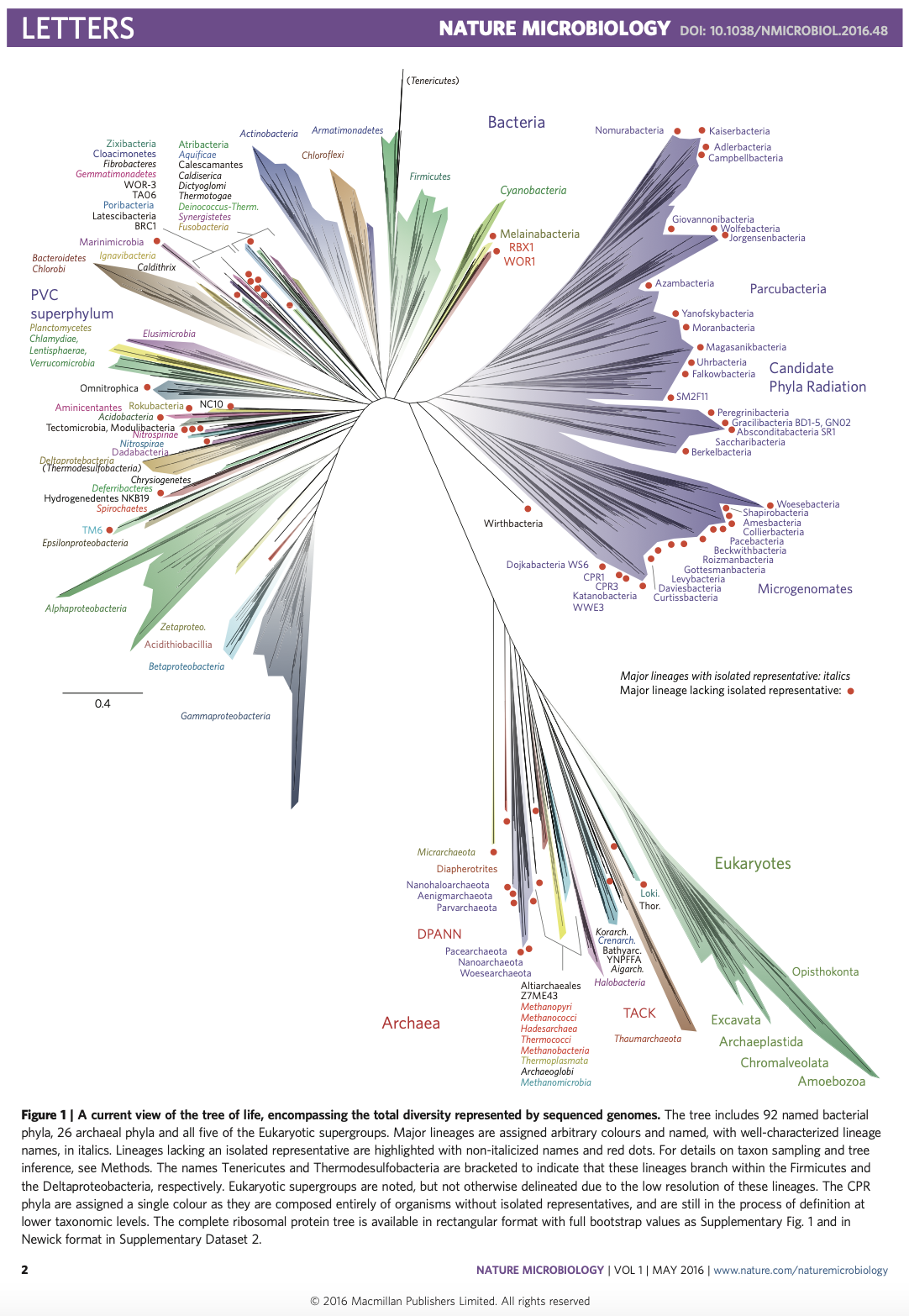 Hug, L. A., Baker, B. J., Anantharaman, K., Brown, C. T., Probst, A. J., Castelle, C. J., … & Banfield, J. F. (2016). A new view of the tree of life. Nature microbiology, 1(5), 1-6.