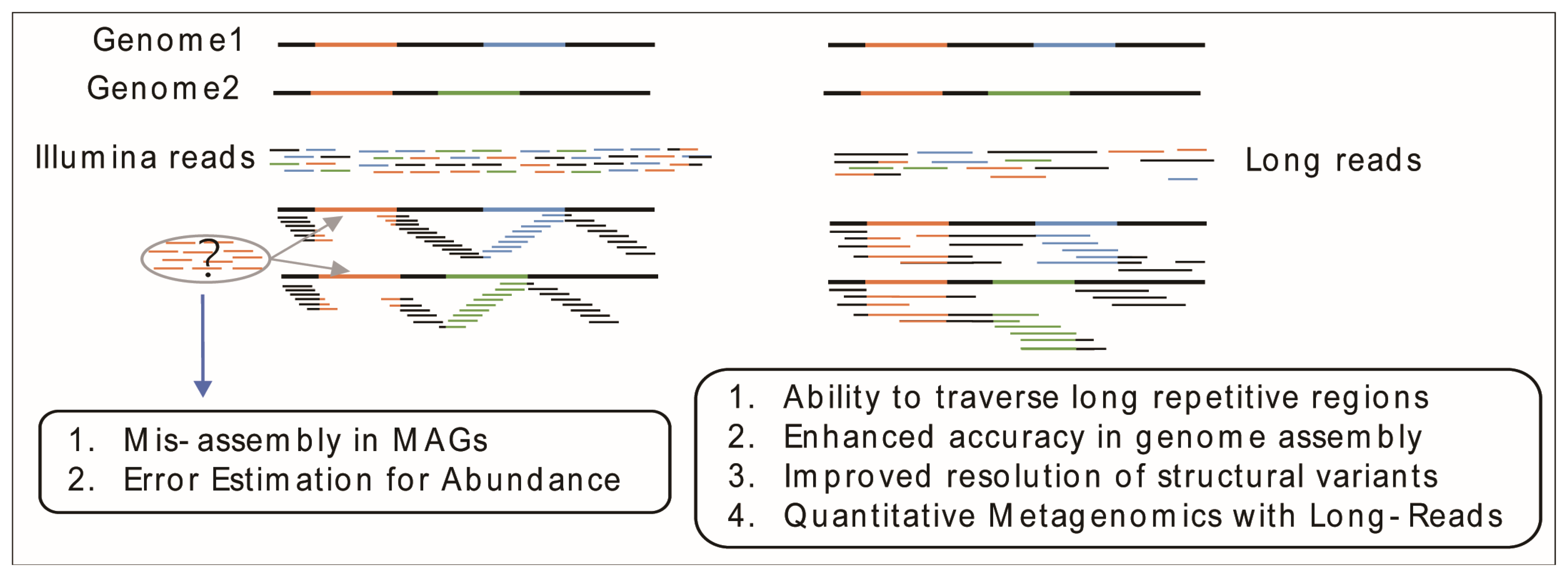 https://www.mdpi.com/2076-2607/12/12/2482