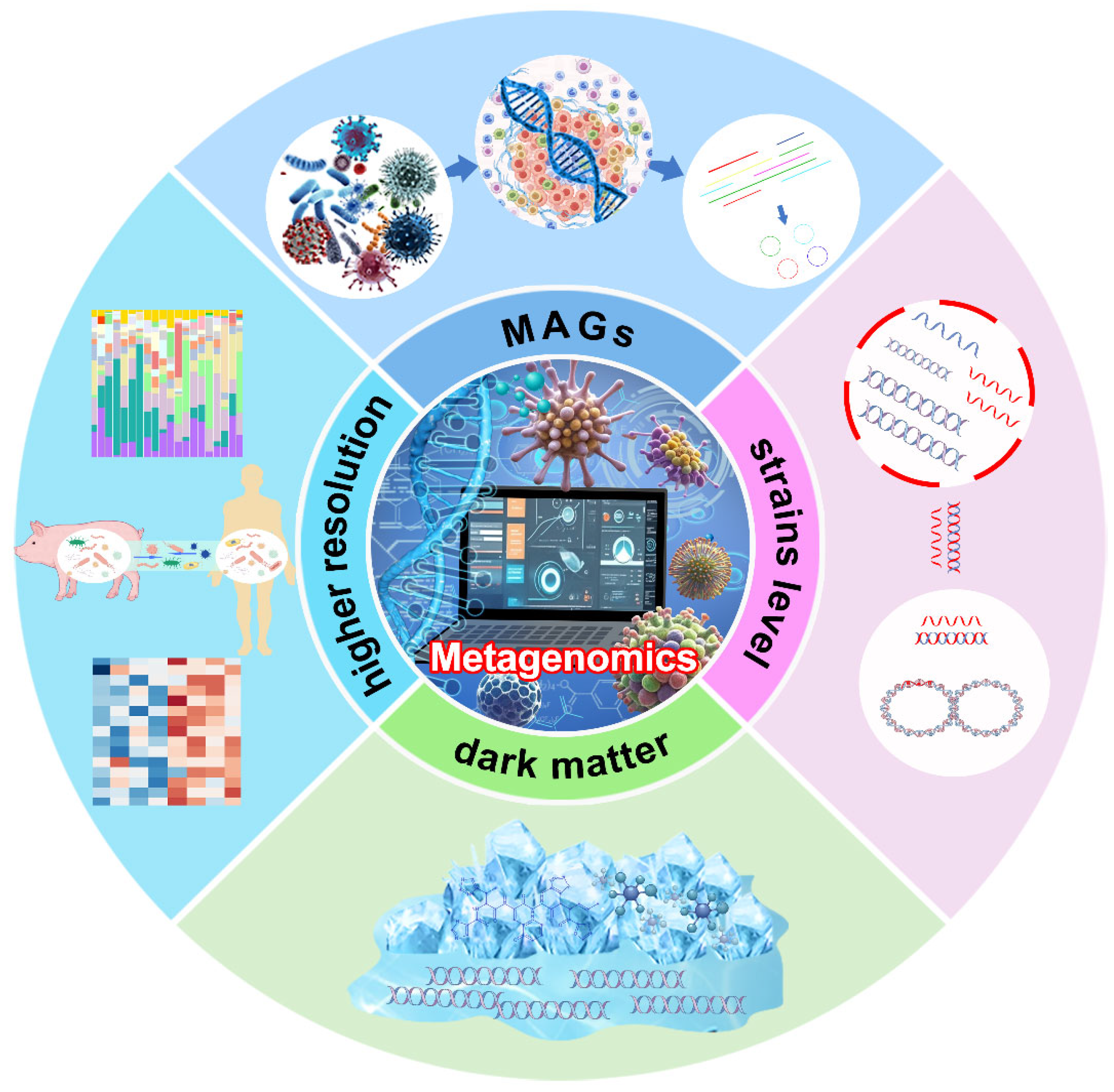 Strengths of shotgun metagenomics://www.mdpi.com/2076-2607/12/12/2482