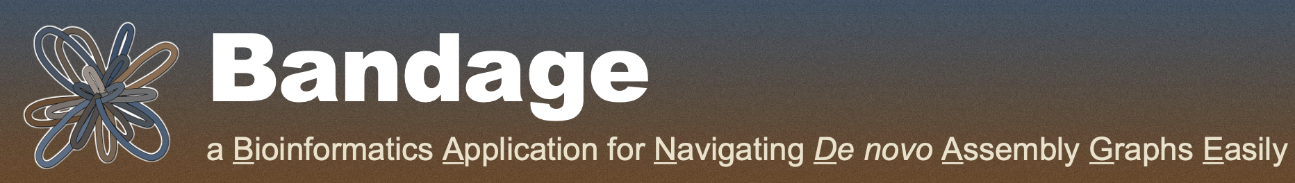 Bandage: https://rrwick.github.io/Bandage/
