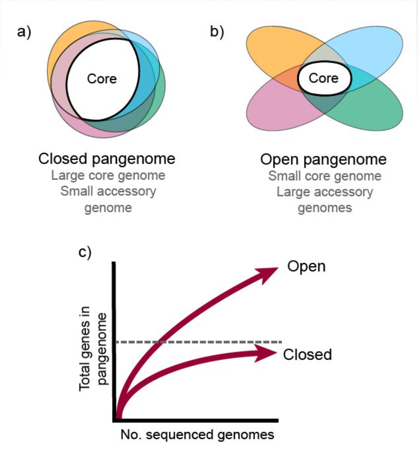 Open and Closed Pangenomes: https://en.wikipedia.org/wiki/Pan-genome