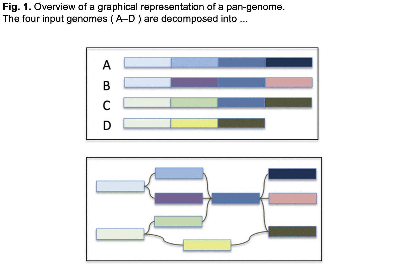 Input Genomes