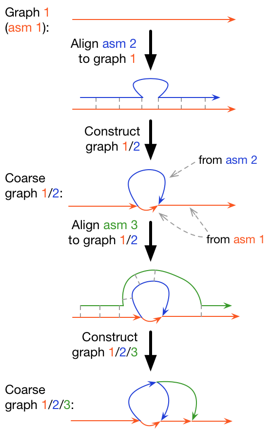 Graph Construction https://github.com/lh3/minigraph
