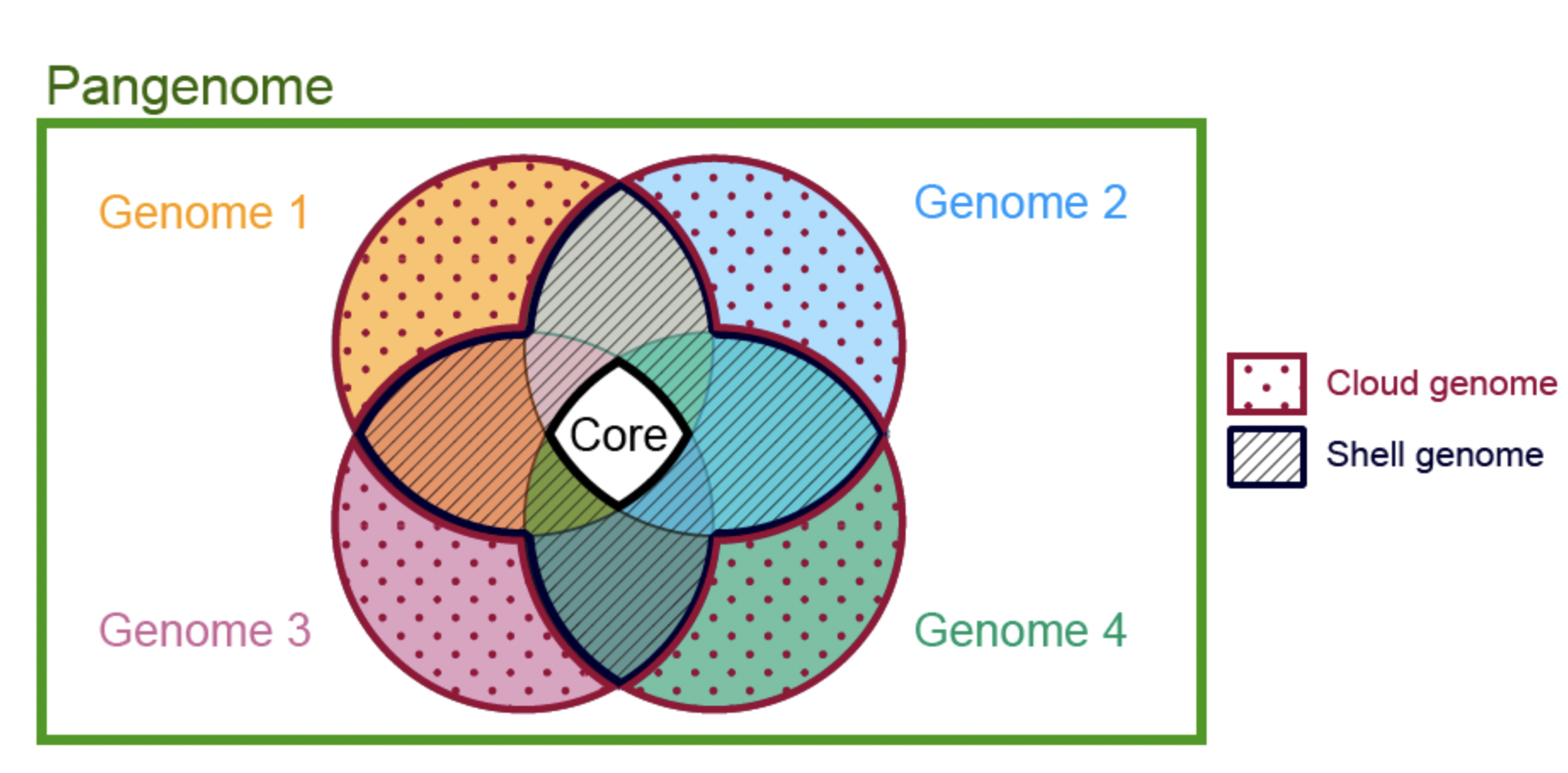Pangenome: https://en.wikipedia.org/wiki/Pan-genome