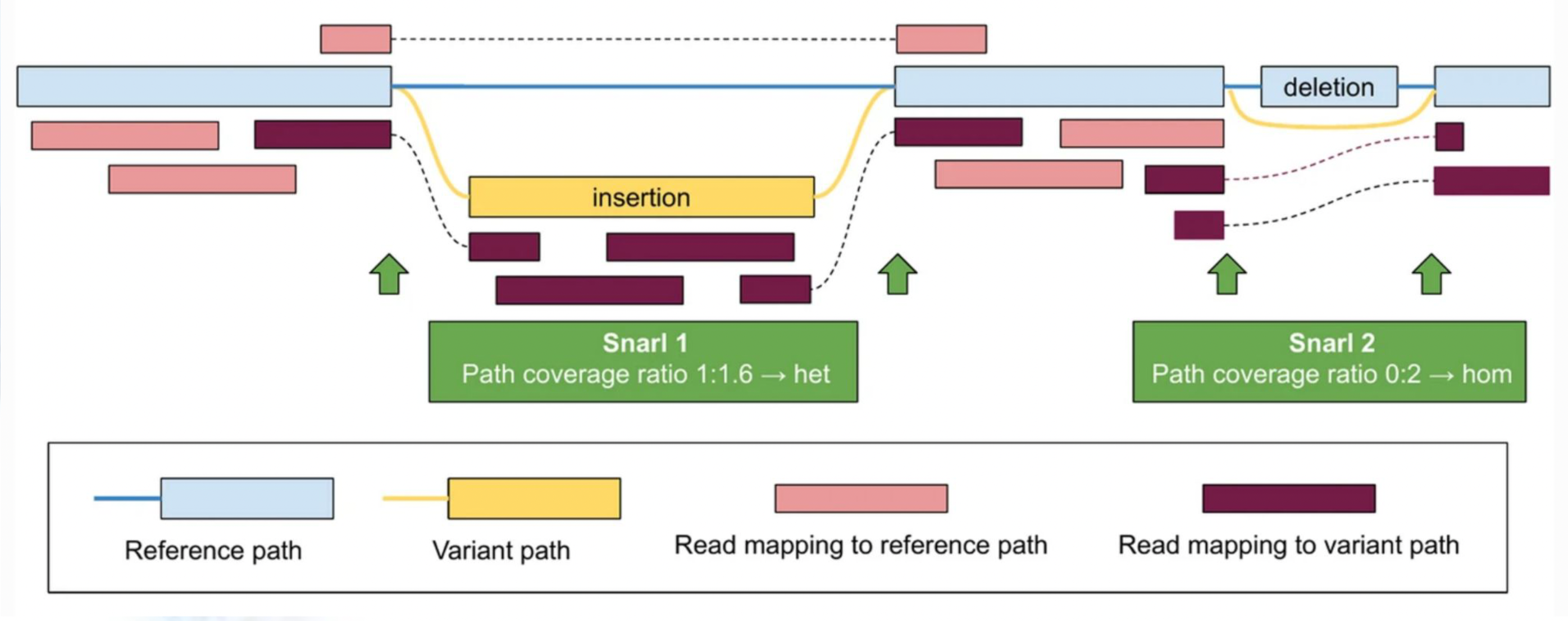 Genotyping Variation: https://link.springer.com/article/10.1186/s13059-020-1941-7