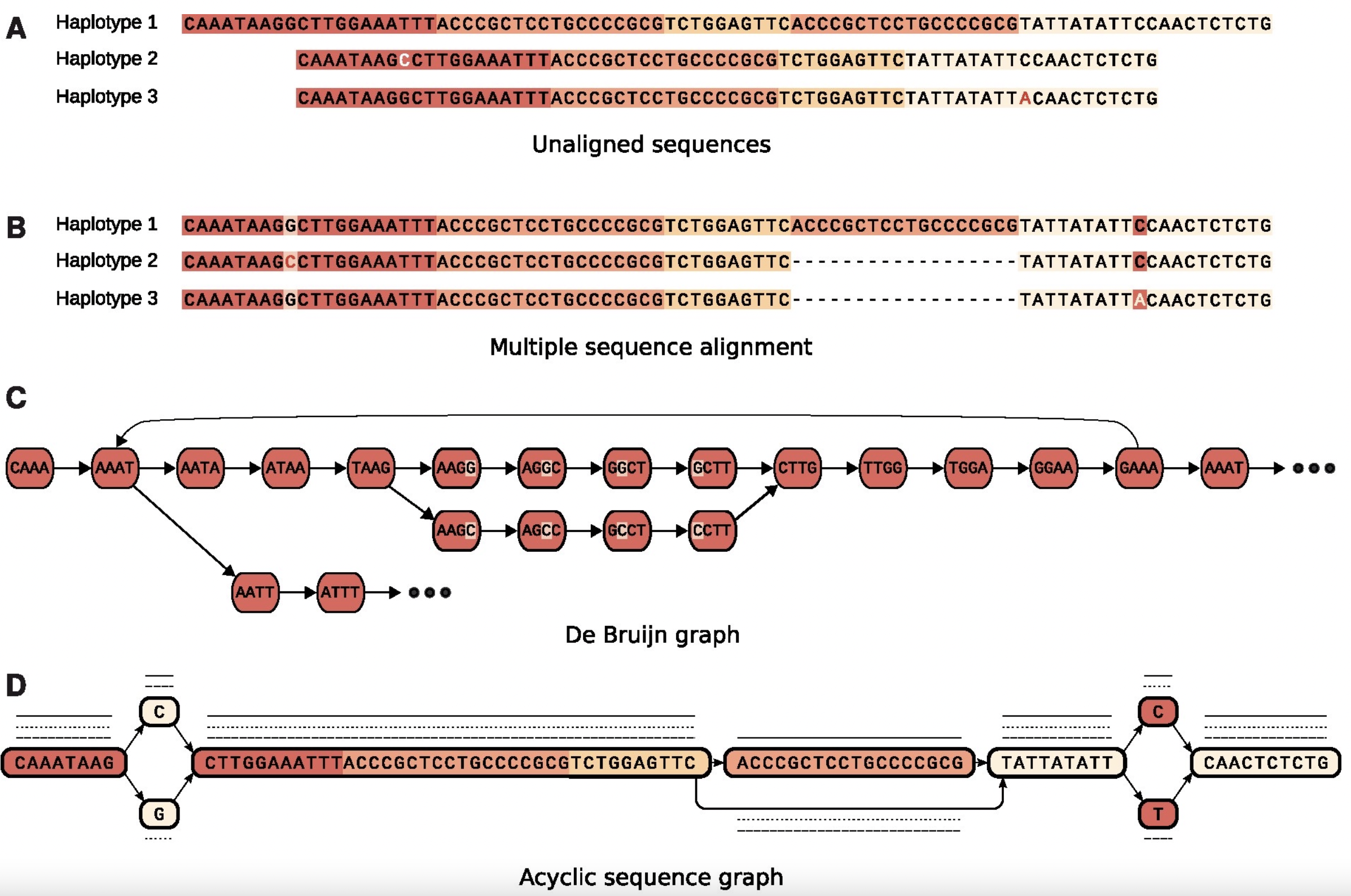 Pangenome Representations: https://academic.oup.com/bib/article/19/1/118/2566735