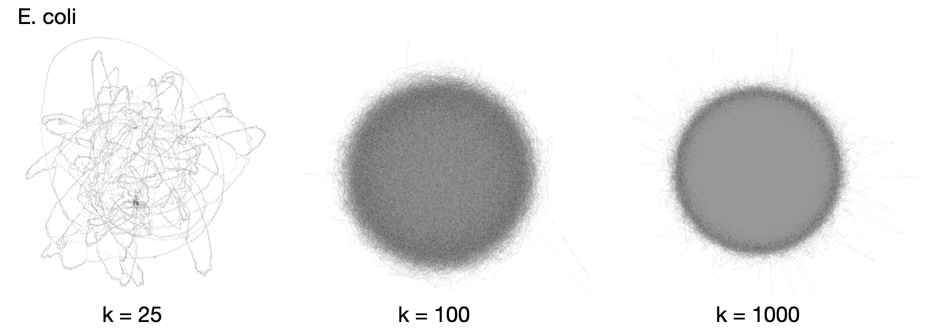 Compressed de Bruijn graphs “hairballs”: https://academic.oup.com/bioinformatics/article/30/24/3476/2422268