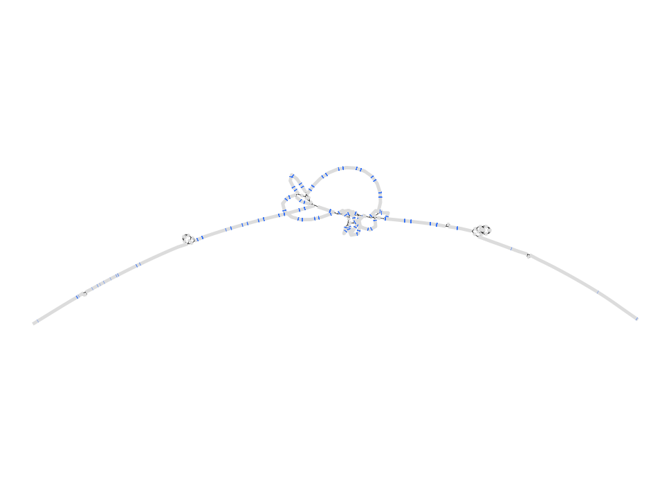 Graph Construction https://github.com/lh3/minigraph