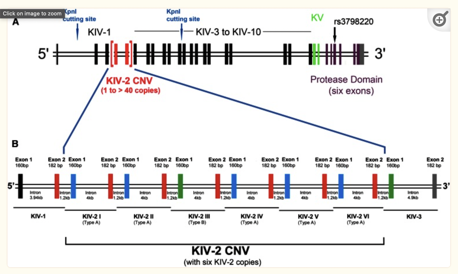 https://www.ncbi.nlm.nih.gov/pmc/articles/PMC4959873/