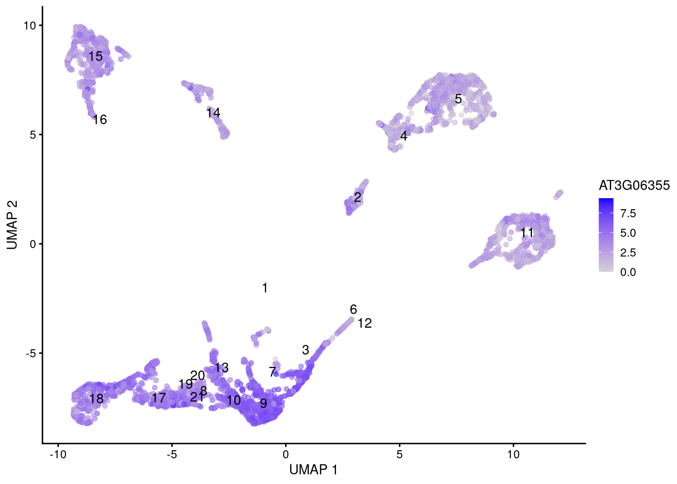 Feature plot for selected gene