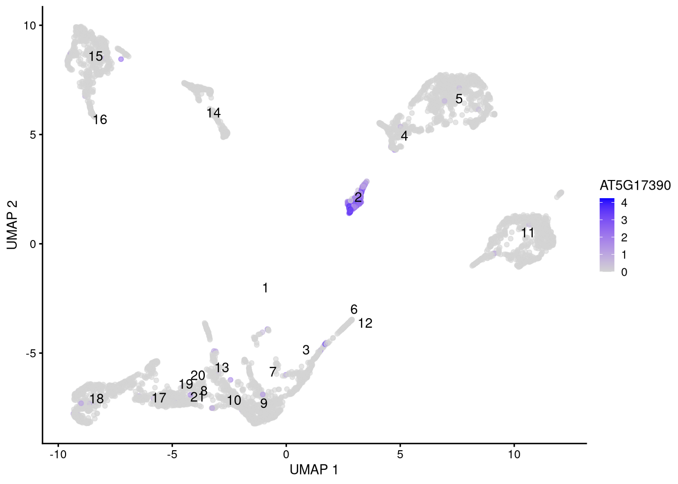 Feature plot for marker gene AT5G17390