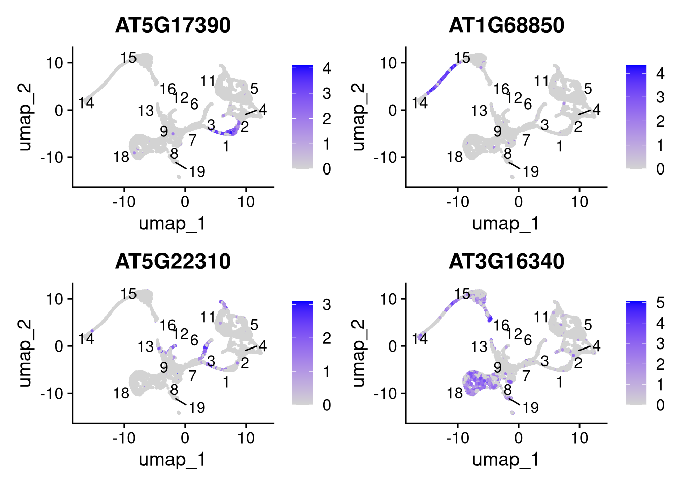 Feature plots for selected genes