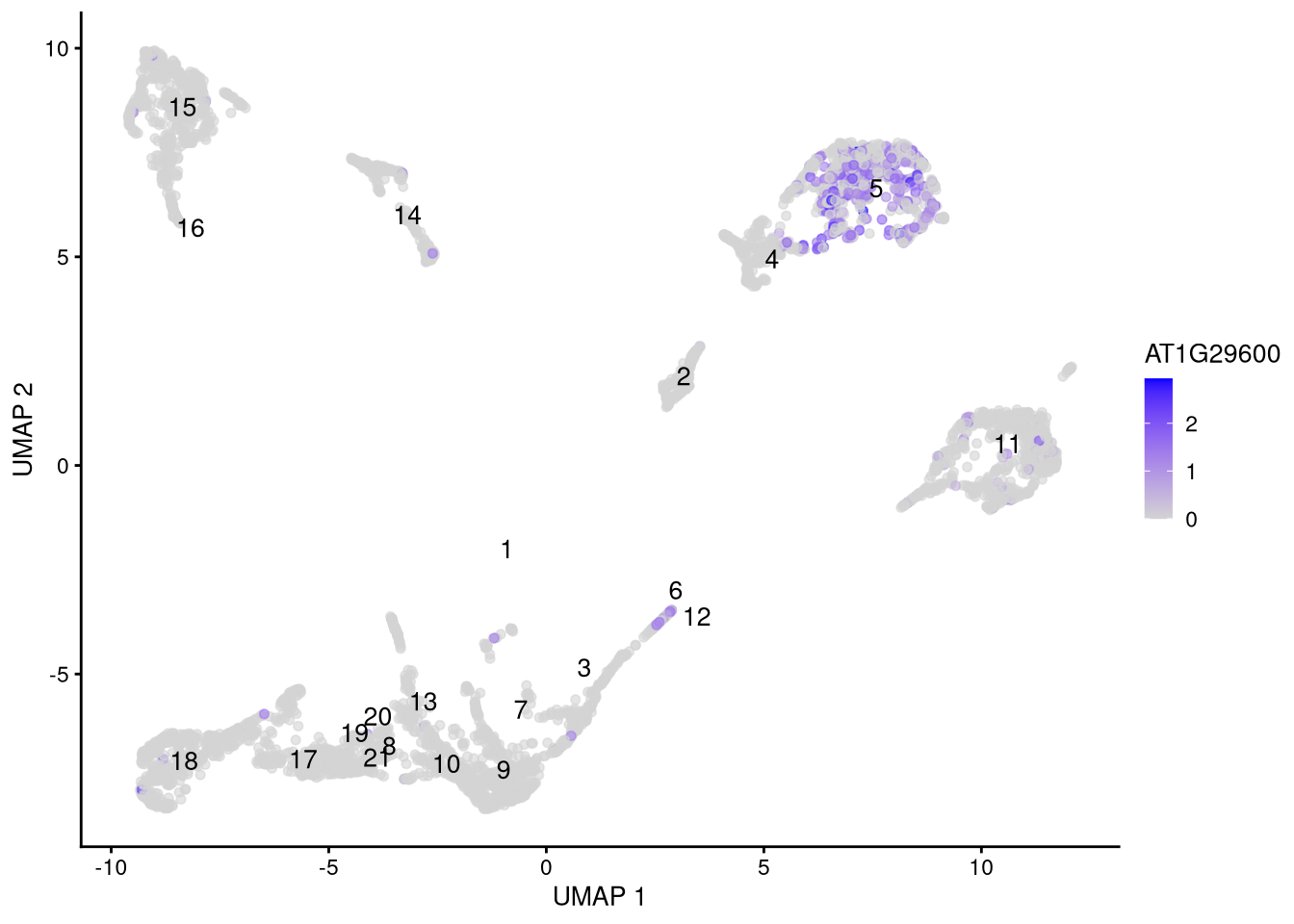 Feature plot for marker gene AT1G29600