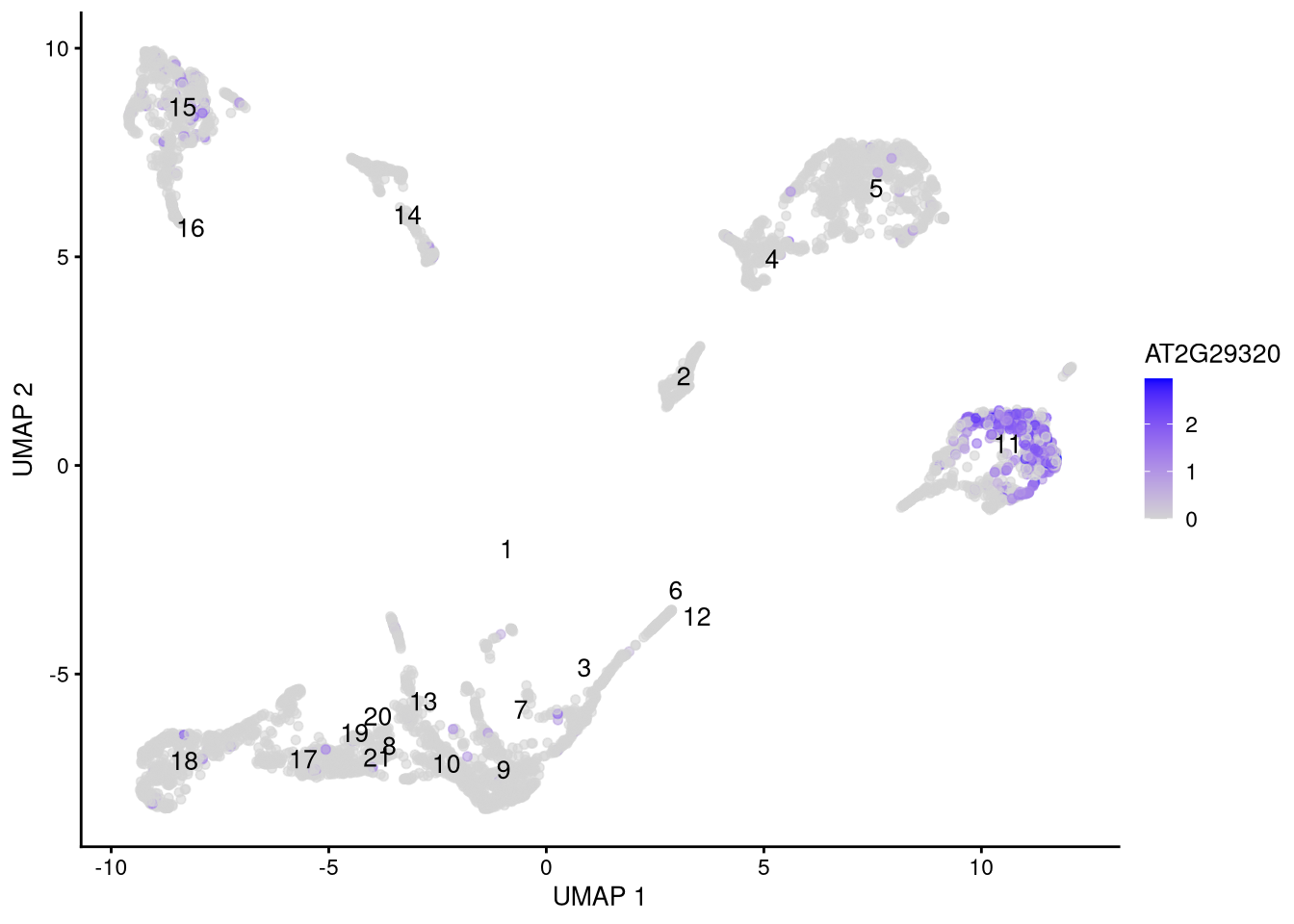 Feature plot for marker gene AT2G29320