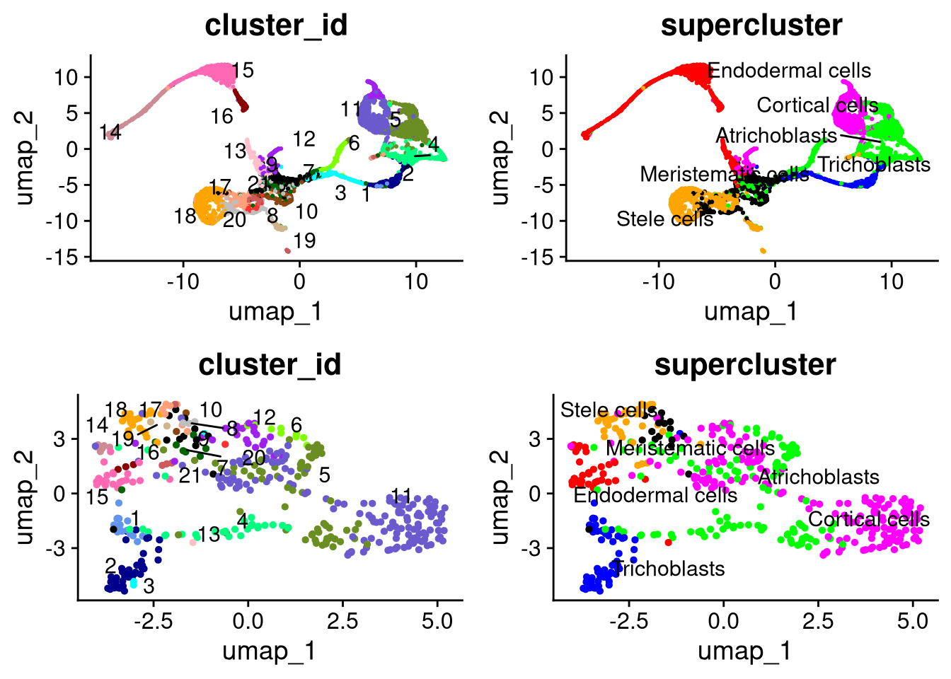 UMAP plots for Datasets 4 (bottom) and 5 (top)
