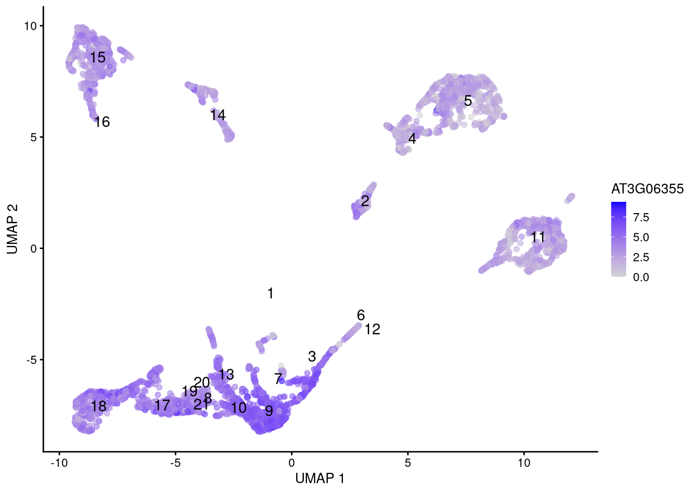 Feature plot for selected gene