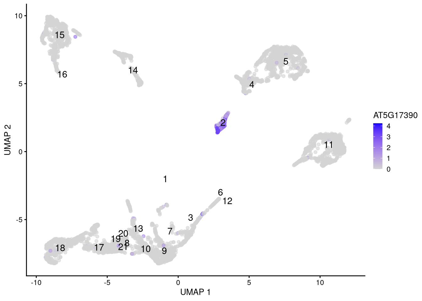 Feature plot for marker gene AT5G17390