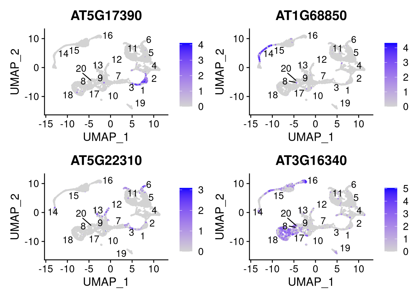 Feature plots for selected genes