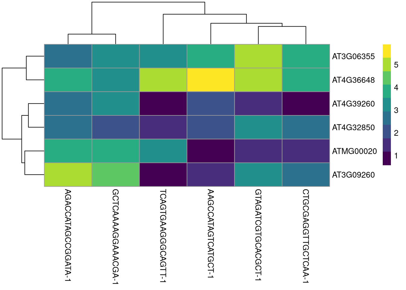 plotHeatmap() example