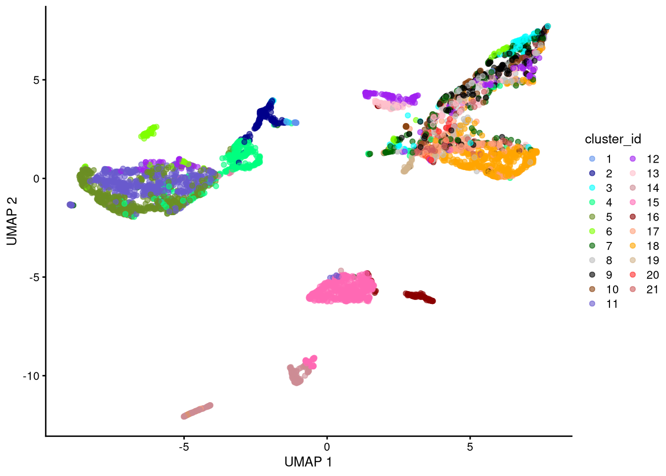 UMAP plot based on raw counts