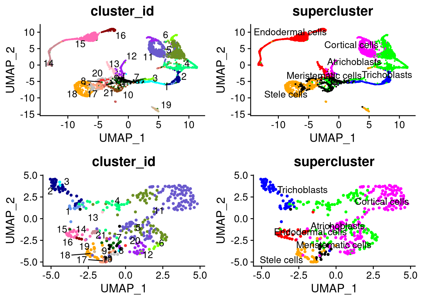 UMAP plots for Datasets 4 (bottom) and 5 (top)